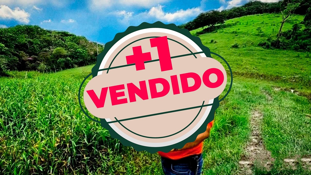 Sítio 5 alqueires Pastagem, Frutíferas e Nascentes em Sete Barras, SP R$: 330 mil Willian Ricardo