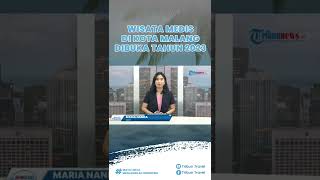 Asyik! Wisata Medis di Malang Dibuka Tahun 2023, Kolaborasi RS Malang dan Institusi Kesehatan AS