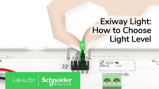 Hogyan állítsuk be az Exiway fényerejét