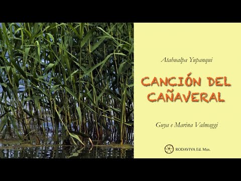 Guya Valmaggi Ft. Marina Valmaggi - CANCIÓN DEL CAÑAVERAL