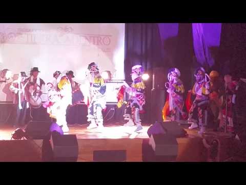 negrillos de talavera. 2015