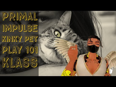 Archetypes, Tools, and Safety as a Pet or Handler! - Primal Impulse Pet Play 101 Klass