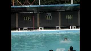 preview picture of video 'Bluemen Resort, Dasmariñas Cavite (IV-Gemini 2k10-2k11)'