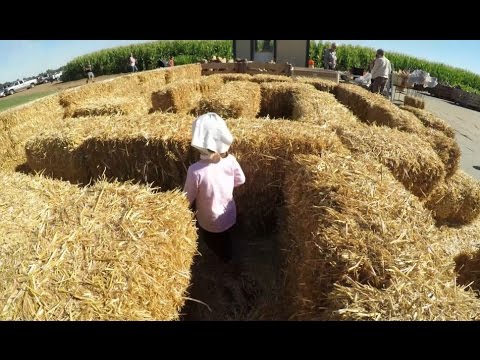 Hay Bail Maze for kids - @123bumblebee.