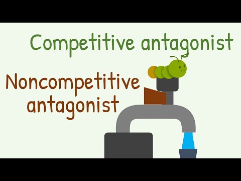 Kompetitiver Antagonist vs. nichtkompetitiver Antagonist