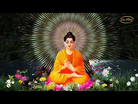 HOA VÔ ƯU P6 - PHẨM - NGHIỆP TỪ ĐÂU MÀ RA