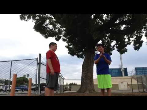 Bob Ross v.s Pablo Piccasso