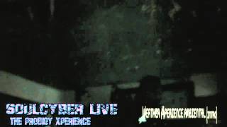 Soulcyber - Weather xperience Intro (Live The Prodigy Xperience)