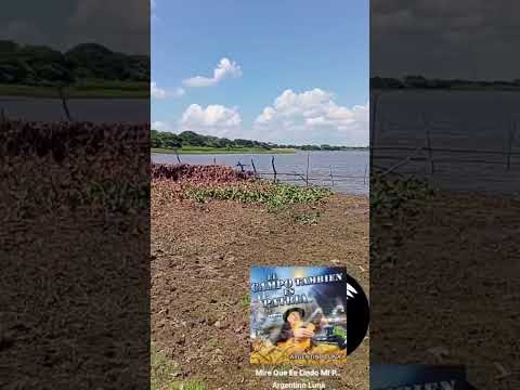 herradura Formosa papá 😍😎🤙🏻#pes #parati #viral #fish #amordecachorro