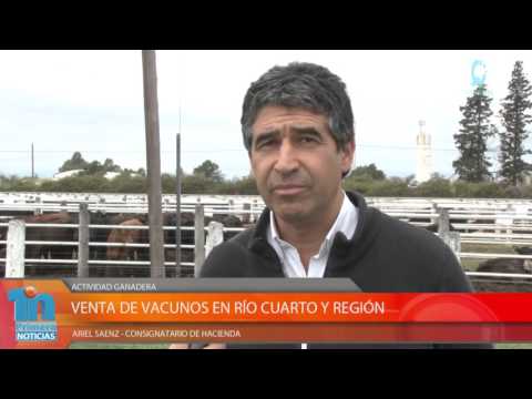 VENTA DE VACUNOS EN RÍO CUARTO Y REGIÓN