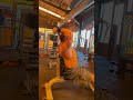 Overhead Dumbell Press Triceps