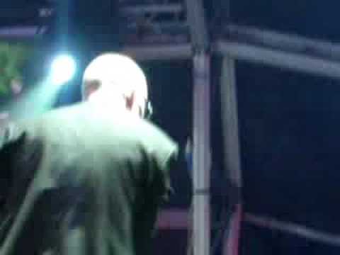 rototom sunsplash 08