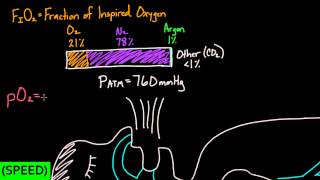 [SPEED] Alveolar Gas Equation - Part 1