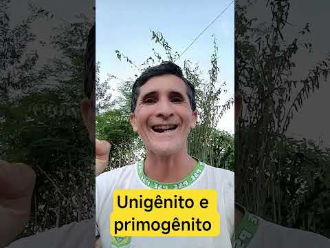 Jesus é tanto unigênito como primogênito