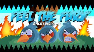 Cover art for feel the fury angry birds