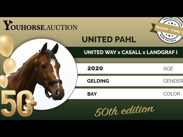 United Pahl under the saddle