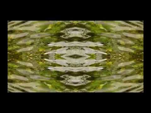 BerZona Waters (AtomikDog - New Life) HD