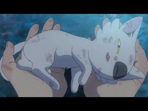 El gatito Daijin se 'Despide' de Suzume 🥲 [Suzume no Tojimari]