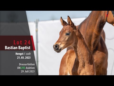 ONLIVE-AUKTION Lot 24 Bastian Baptist Hengst v. Bonds - Fürst Romancier