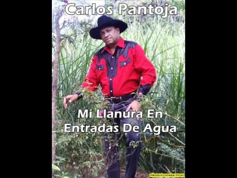 Carlos Pantoja - Mi Llanura En Entradas De Agua