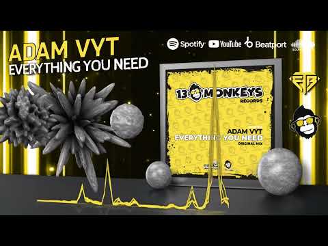ADAM VYT - EVERYTHING YOU NEED (RADIO EDIT) // 13MONKEYS RECORDS