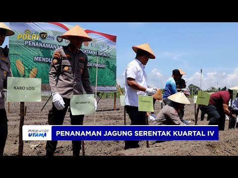 POLDA KEPRI LAKSANAKAN PENANAMAN JAGUNG SERENTAK KUARTAL IV DUKUNG EKONOMI PETANI