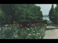 Ах как хочется вернуться... в Приднепровск.wmv 