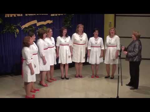 ŽVS “Pajdašice“ (Zabok 2014) - Koleda ide v selo