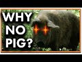 Why Is Pork Forbidden