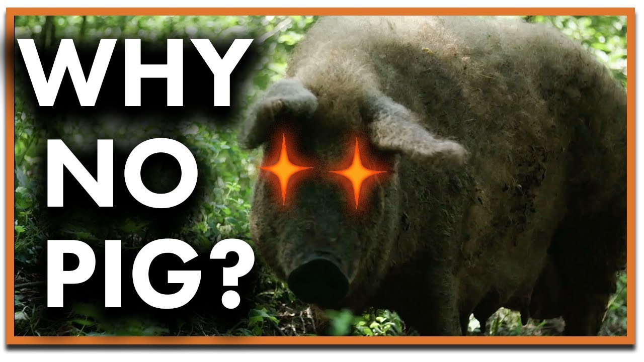 Why Is Pork Forbidden?