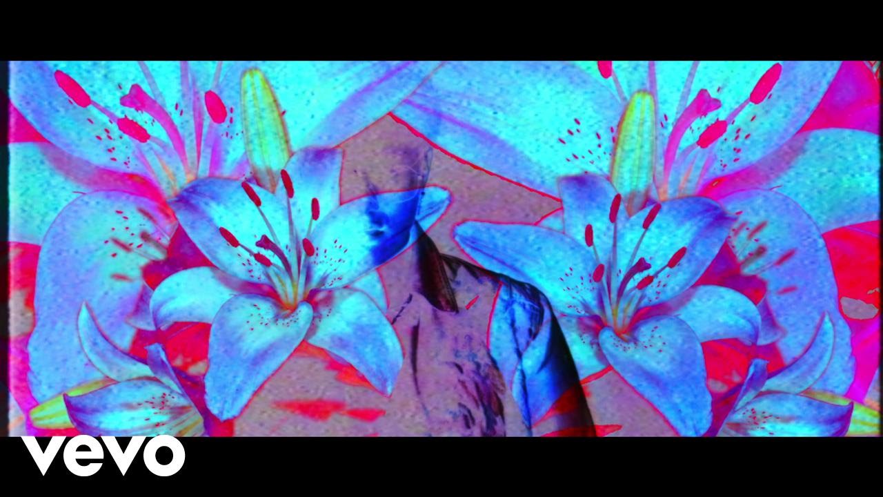 Matt Wills — Wallflower