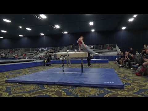 Travis Wong - Pommel Horse - 2020 Winter Cup Jr. Prelims and Elite Team Cup