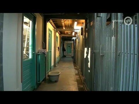 GLD Nieuws 31 december 2014