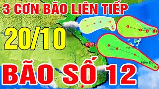 Dự báo thời tiết hôm nay mới nhất ngày 20/10 | Tin bão số 12 | Dự báo thời tiết 3 ngày tới