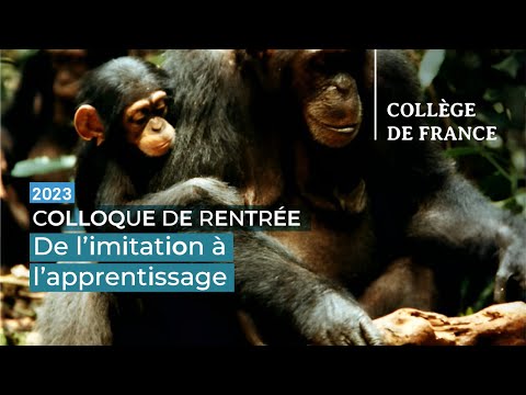 De l’imitation à l’apprentissage... - Jean-Jacques Hublin
