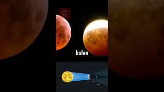 Download lagu Watching the Lunar Eclipse Process mp3