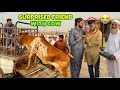 SURPRISING FRIEND WITH COW GIFT MISHKAT KHAN FICTION VLOG BAKRA EID 2025