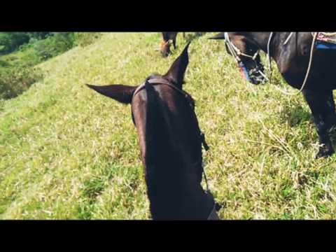 Cabalgando en la pradera