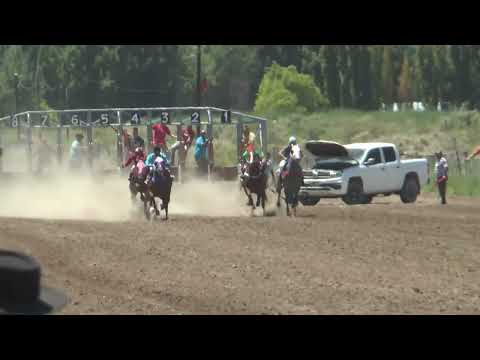 STEFANO  Club Hipico "Cabo Alarcon" - Picun Leufu  -  15-01-2023