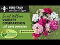 Seed Talk #102 - Sweet William Variety Comparison with Dave Dowling