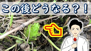 大自然クイズ【この後どうなるでしょうか！？】