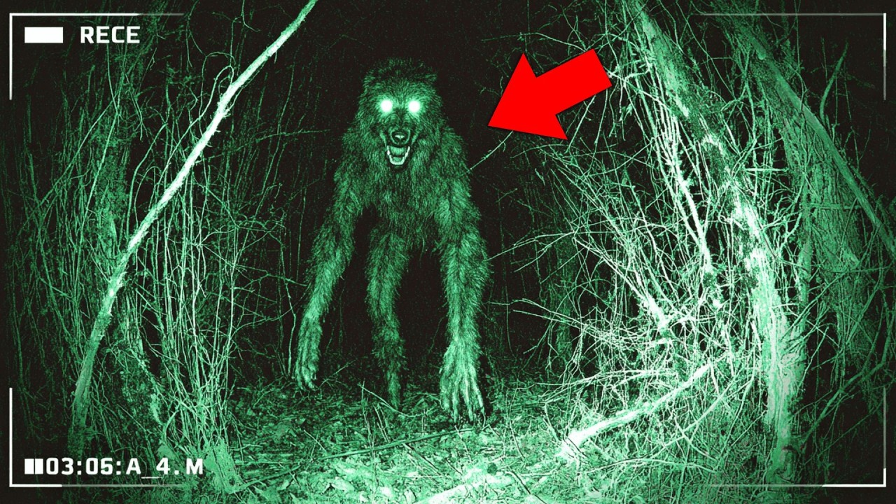 Thumbnail Download HD Thumbnail (1280x720)