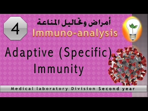 immuno analysis 1 Cells of immune response استجابة الخلايا المناعية
