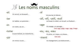 Masculin et féminin des noms en français