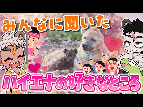 【愛】みんなに聞いた「ハイエナの好きなところ」大発表！！【骨淵ファング】 #ブチハイエナ #ハイエナ #動物 #vtuber