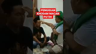 Download lagu PROSES PENGISIAN KHODAM MACAN PUTIH‼️#pengisian #macan #putih #kekuatan #kewibawaan #shorts #viral mp3