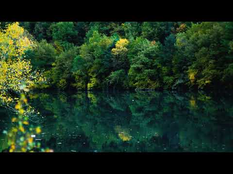 Guitarro - Éxodo Ambiguo, Escaida, Priesttempore, (?) [2016]