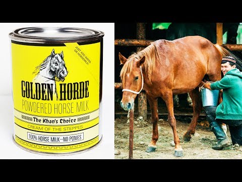 Top 10 Strangest Canned Food You Never Knew Existed