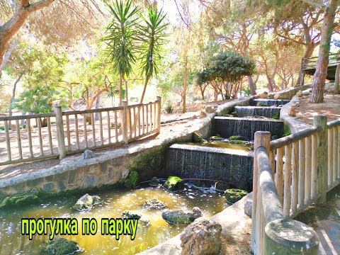 Отличная прогулка. Море. Пальмы. Парк Влог/ VLOG