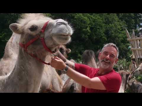 Tag 306, Bergham nach Heigenkam -Langstreckenwanderung um die Welt